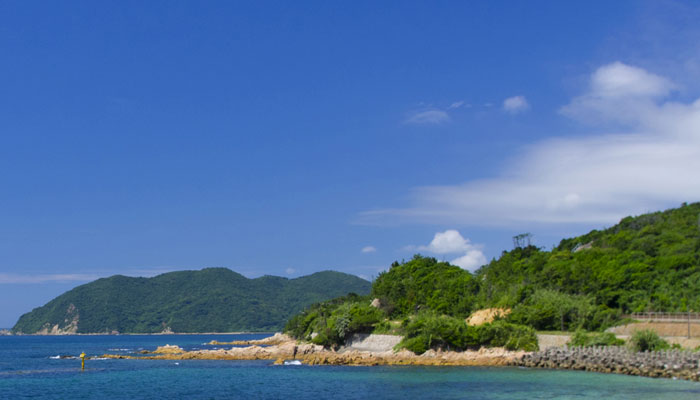 夏みかん 萩エール | 地域商社やまぐち株式会社 夏みかん 萩エール | 地域商社やまぐち株式会社